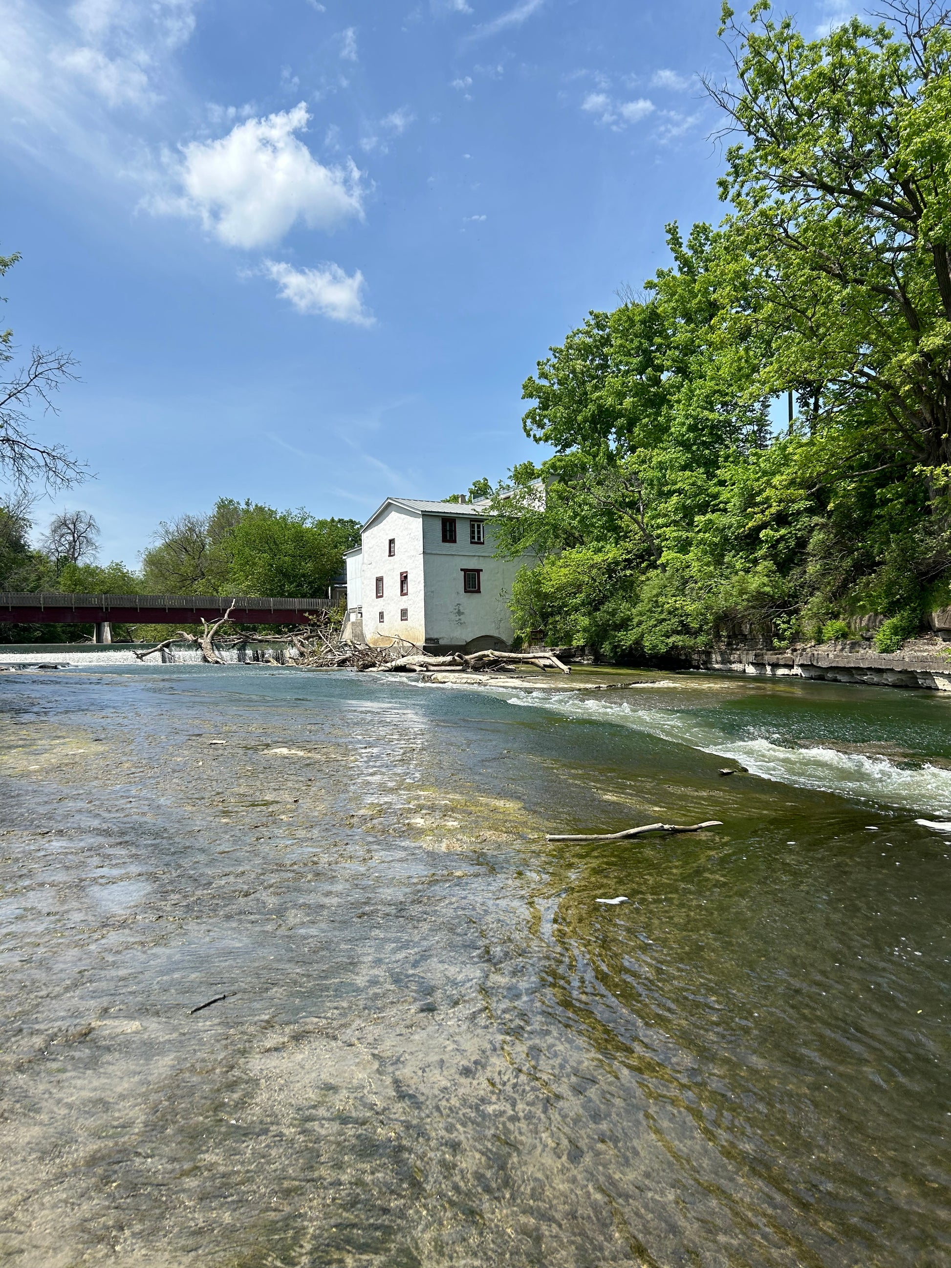 Another thumbnail of the white cheetah tote.